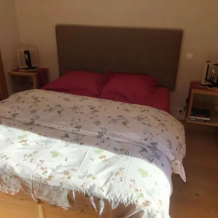 Appartement Superbe Cosy, Piscine Terrasse, Ascenseur. Cohennoz