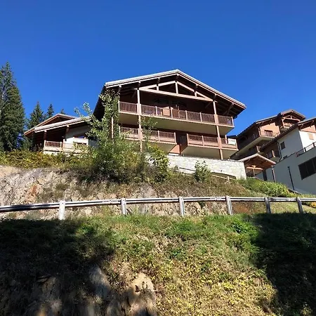 Superbe Cosy, Piscine Terrasse, Ascenseur. Cohennoz